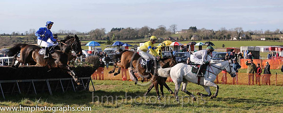 11th PU Cabra Boy ( 6 )  A Wells - Trainer: Alan A H Wells - blue, green stars