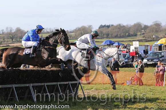 11th PU Cabra Boy ( 6 )  A Wells - Trainer: Alan A H Wells - blue, green stars