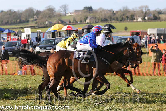 04th Ser Sandor ( 17 )  R James - Trainer: Shane Donohoe - royal blue, red seams