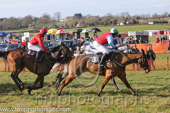 13th PU Darsindian ( 8 )  J Cresswell - Trainer: Brian W Dougan - red, blue sleeves