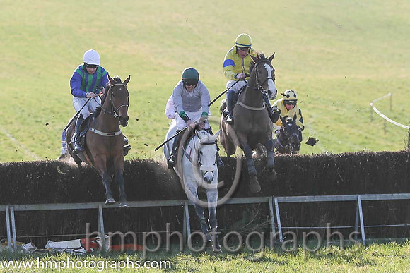 16th PU Just Like Freddie ( 10 )  D G Levery - Trainer: Andrew George Kennedy - grey, green collar