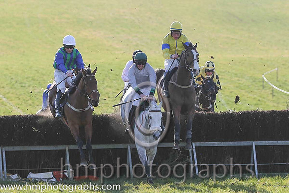 16th PU Just Like Freddie ( 10 )  D G Levery - Trainer: Andrew George Kennedy - grey, green collar