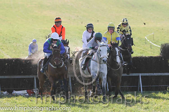 16th PU Just Like Freddie ( 10 )  D G Levery - Trainer: Andrew George Kennedy - grey, green collar