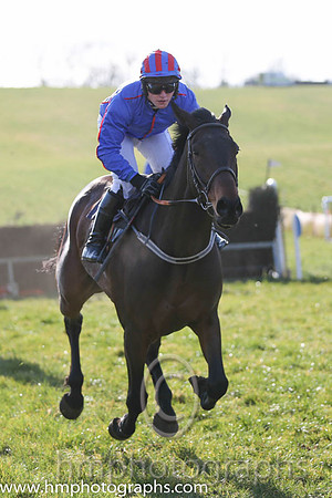 04th Ser Sandor ( 17 )  R James - Trainer: Shane Donohoe - royal blue, red seams