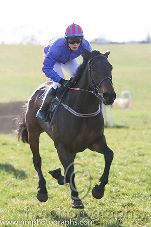 04th Ser Sandor ( 17 )  R James - Trainer: Shane Donohoe - royal blue, red seams