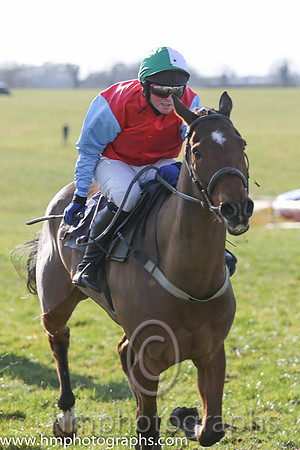 13th PU Darsindian ( 8 )  J Cresswell - Trainer: Brian W Dougan - red, blue sleeves