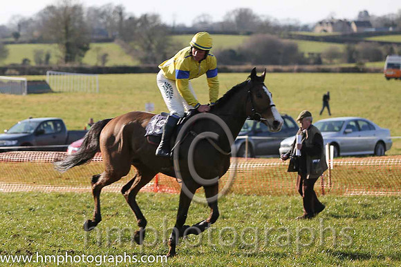10th PU So Rustic ( 19 )  P Turley - Trainer: J G Cosgrave - yellow, royal blue seams