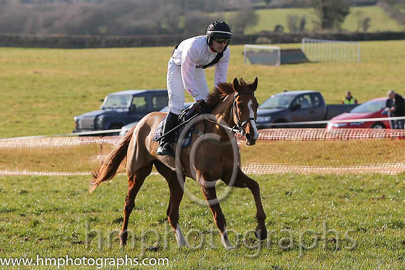 08th PU Lisnagreggan ( 11 )  N Gault - Trainer: William Gault - white, black sash