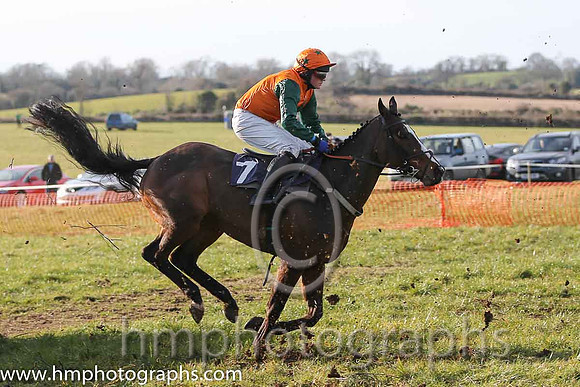 04th Mourne Paddy ( 7 )  J Cresswell - Trainer: J J Lambe - orange, dark green star
