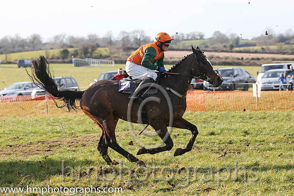 04th Mourne Paddy ( 7 )  J Cresswell - Trainer: J J Lambe - orange, dark green star