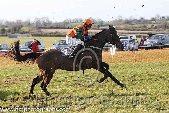 04th Mourne Paddy ( 7 )  J Cresswell - Trainer: J J Lambe - orange, dark green star