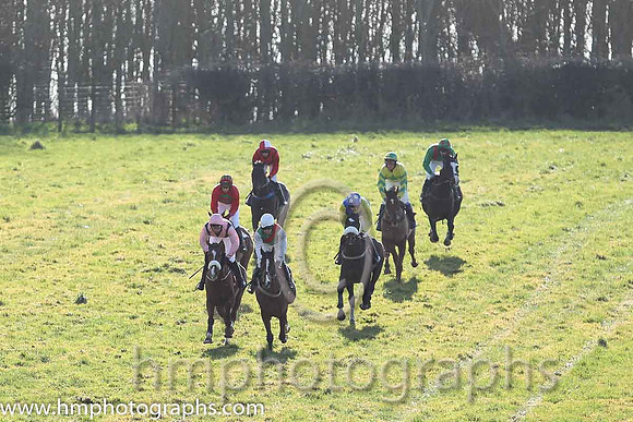 i01st Sole Witness ( 8 )  N McParlan - Trainer: C A McBratney - emerald green , red sash