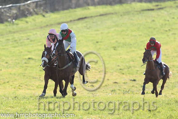 01st Sole Witness ( 8 )  N McParlan - Trainer: C A McBratney - emerald green , red sash