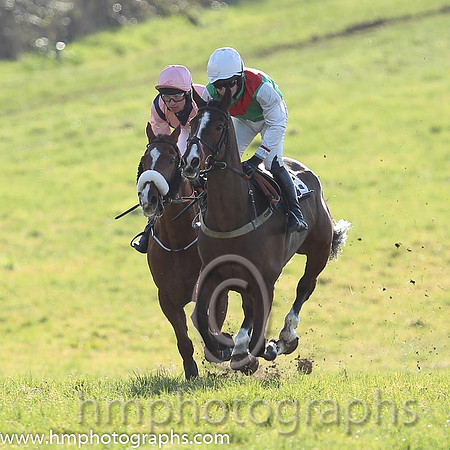 01st Sole Witness ( 8 )  N McParlan - Trainer: C A McBratney - emerald green , red sash
