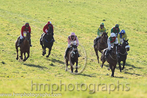 01st Sole Witness ( 8 )  N McParlan - Trainer: C A McBratney - emerald green , red sash