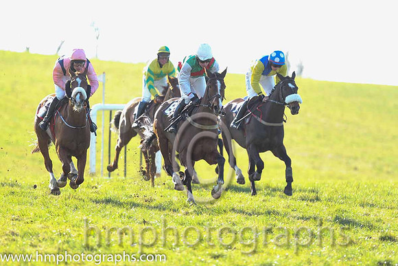 01st Sole Witness ( 8 )  N McParlan - Trainer: C A McBratney - emerald green , red sash