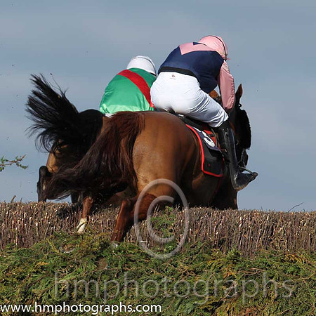 02nd Current Exchange ( 3 )  T Donworth - Trainer: Gordon Elliott - dark blue, pink chevron