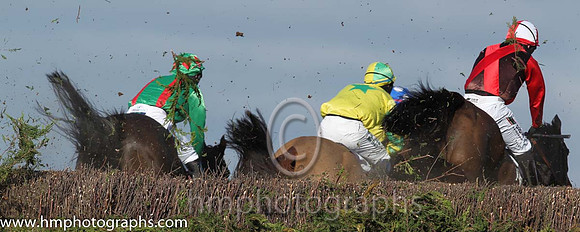 05th PU Castletown Bridge ( 5 )  P Turley - Trainer: Sean F Gallagher - yellow, green star
