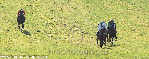 01st Sole Witness ( 8 )  N McParlan - Trainer: C A McBratney - emerald green , red sash