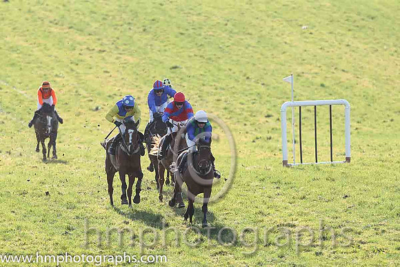 02nd Three Of A Kind ( 20 )  N McParlan - Trainer: Daniel A Fitzsimmons - yellow and royal blue qtrd