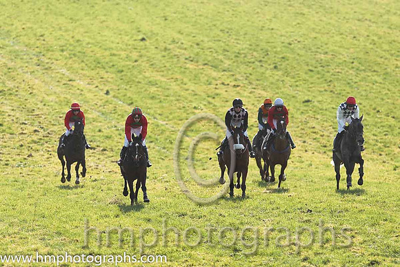 01st Fagan ( 5 )  Derek O'Connor - Trainer: I R Ferguson - navy  white diamonds