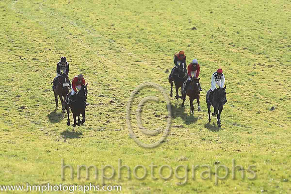 01st Fagan ( 5 )  Derek O'Connor - Trainer: I R Ferguson - navy  white diamonds