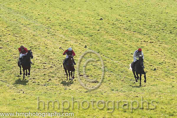 01st Fagan ( 5 )  Derek O'Connor - Trainer: I R Ferguson - navy  white diamonds