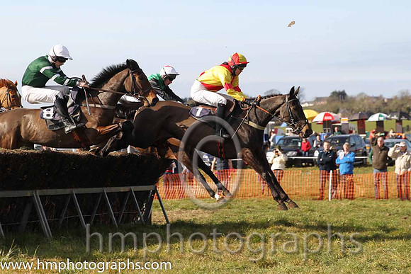 08th PU Dixie Rebel ( 1 )  Miss K Ferris - Trainer: Eoin G Barry - yellow, red cross belts