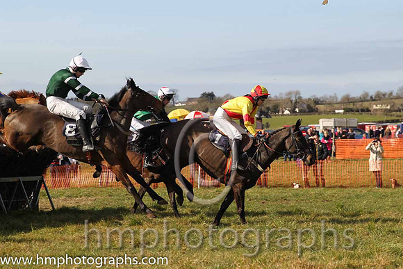 08th PU Dixie Rebel ( 1 )  Miss K Ferris - Trainer: Eoin G Barry - yellow, red cross belts