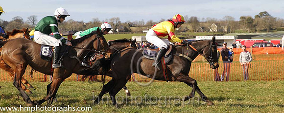 08th PU Dixie Rebel ( 1 )  Miss K Ferris - Trainer: Eoin G Barry - yellow, red cross belts