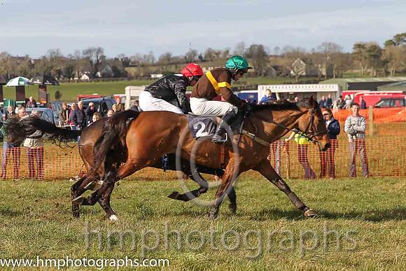 03rd Isn't She Lovely ( 2 )  N McParlan - Trainer: J G Cosgrave - brown, yellow hoop