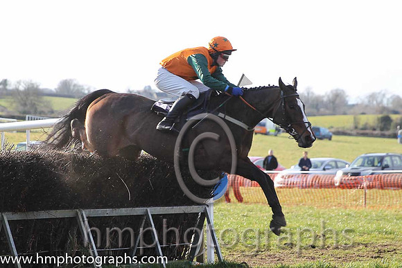04th Mourne Paddy ( 7 )  J Cresswell - Trainer: J J Lambe - orange, dark green star