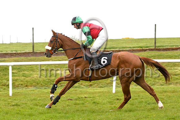 Beachdale Lad (6, red, emerald green star) & T P Treacy - 2nd - FT8E2821-e