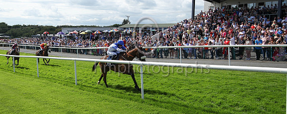 01st Typical Thomas (9 , blue, white diabolo ) Jockey: Peter Smithers7 , Trainer: James Andrew Fahey