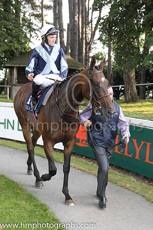 01 Fiesolana and W J Lee - - 01st (1 ,dark Blue, light blue cross sashes ) Trainer - W McCreery