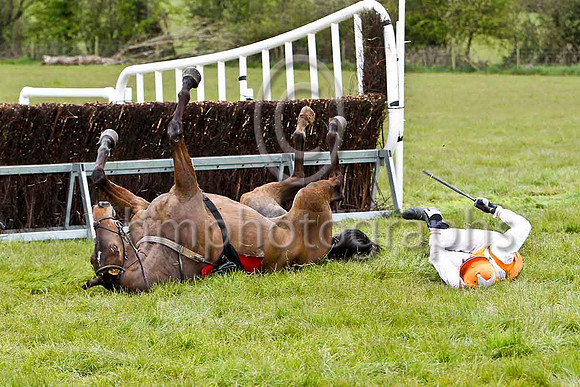 Baba Black Sheep (18) & B O Walsh - FFT8E1715-e