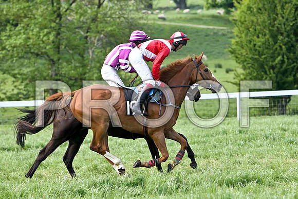 Race 6 Div 2 - Kirkello (16) PU, Rider N McParlanMoneyBach Garantee (19) 4th, Rider C Cully  - CU2D9785-e