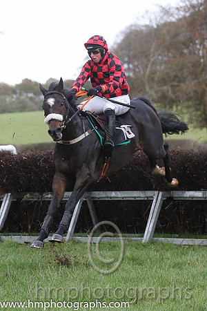 05 Nodforms Violet and B O'Neil01 Vital Plot and J J Codd - - 01st (16 ,red and black check ) Trainer - Liam Kenny