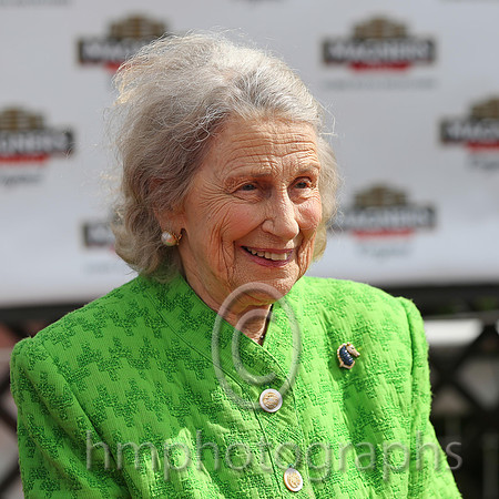 Mrs M V O'Brien at Down Royal