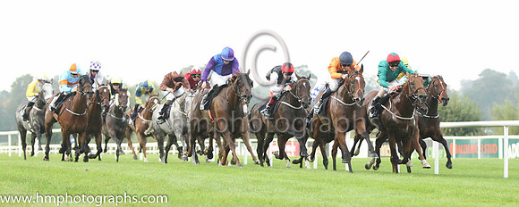 03 Bold Thady Quill and W J Lee - - 03rd (2 ,royal blue and purple halved ) Trainer - K J Condon