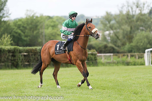 05th Your Pal Tal (GB) ( 1 , emerald green, pink hoop ) and D.W. O'Connor (7) - Trainer : J.F. Levins - Owner : Mrs Deirdre A.Kelly/Seamus Mannion