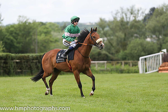 05th Your Pal Tal (GB) ( 1 , emerald green, pink hoop ) and D.W. O'Connor (7) - Trainer : J.F. Levins - Owner : Mrs Deirdre A.Kelly/Seamus Mannion