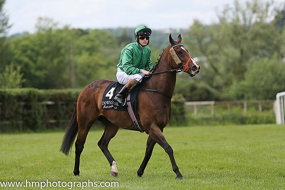 01st Calm Bay ( 4 , emerald greeen, black seams ) and G.P. Halpin (5) - Trainer : H.Rogers - Owner : Mrs M.Rogers
