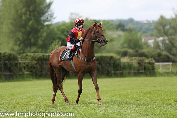 08th Danz Gift ( 7 , red, yellow panel ) and R.P. Downey (5) - Trainer : Ms. Sheila Lavery - Owner : John Lavery