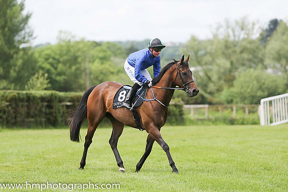 03rd Little Sweetheart ( 8 , royal blue ) and D.M. Grant - Trainer : Patrick J.Flynn - Owner : Mrs Patrick J.Flynn