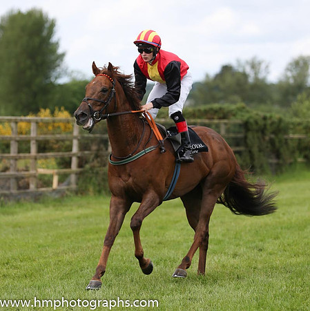 08th Danz Gift ( 7 , red, yellow panel ) and R.P. Downey (5) - Trainer : Ms. Sheila Lavery - Owner : John Lavery