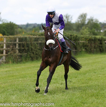07th National Service (USA) ( 6 , purple and white qtrd ) and F.M. Berry - Trainer : Gordon Elliott - Owner : T. Howley Jnr