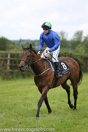 03rd Little Sweetheart ( 8 , royal blue ) and D.M. Grant - Trainer : Patrick J.Flynn - Owner : Mrs Patrick J.Flynn