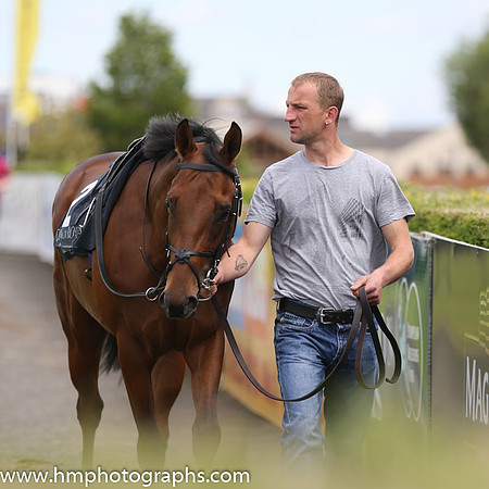 02nd Reckless Endeavour ( 2 , purple and yellow diamonds ) and C.T. Keane - Trainer : G.M.Lyons - Owner : Vincent Gaul