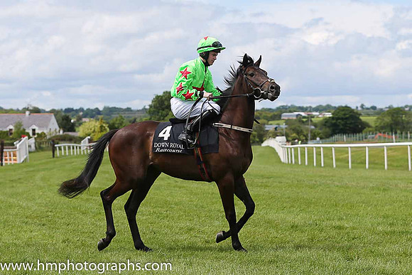 08th You Gotta Move ( 4 , light green, red star ) and T.P. Madden (5) - Trainer : Miss Tara Lee Cogan - Owner : Star Contractors Limited